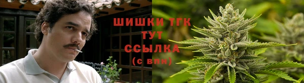стаф Арсеньев